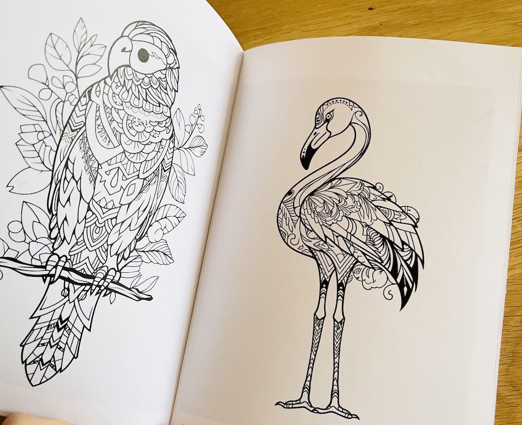 Värviraamat "Linnud mandala" - Image 2