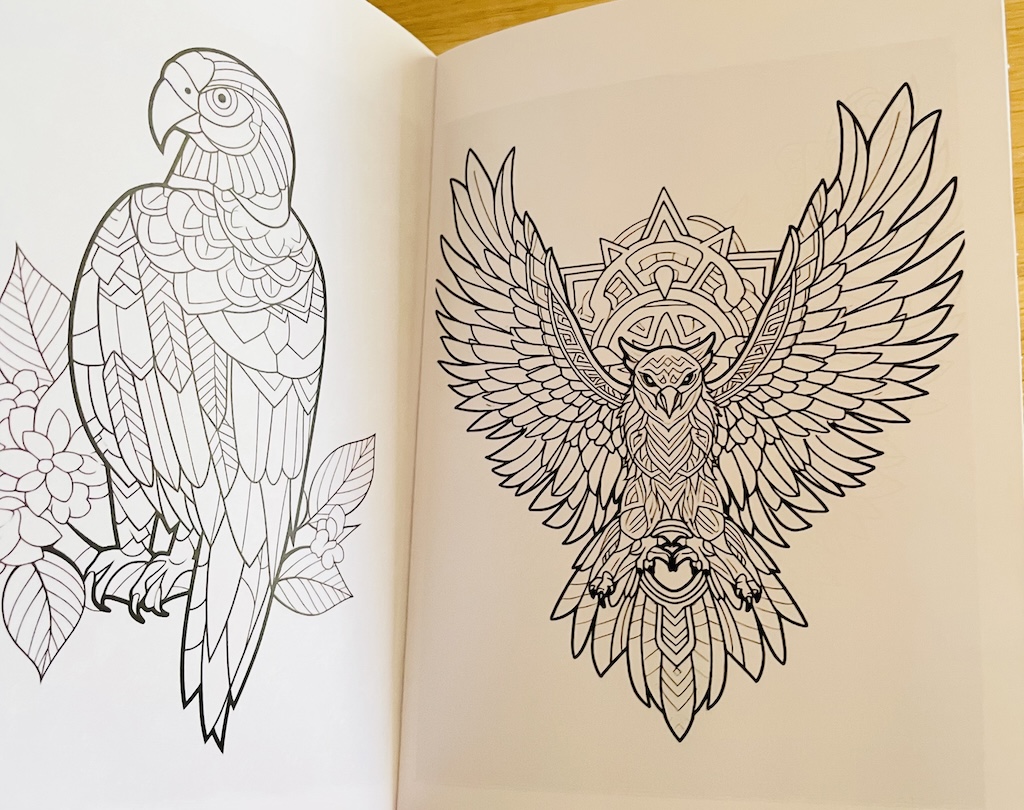 Värviraamat "Linnud mandala" - Image 3