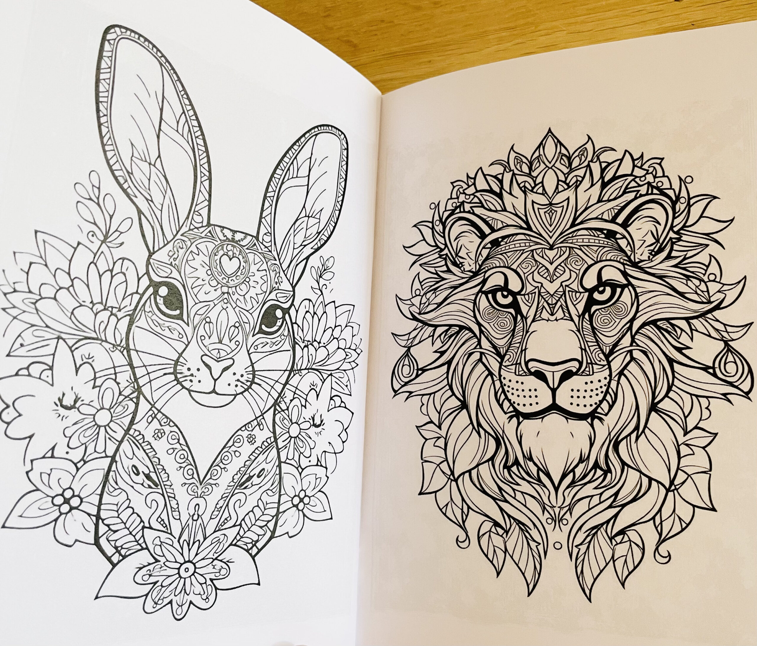 Värviraamat "Loomad mandala" - Image 2